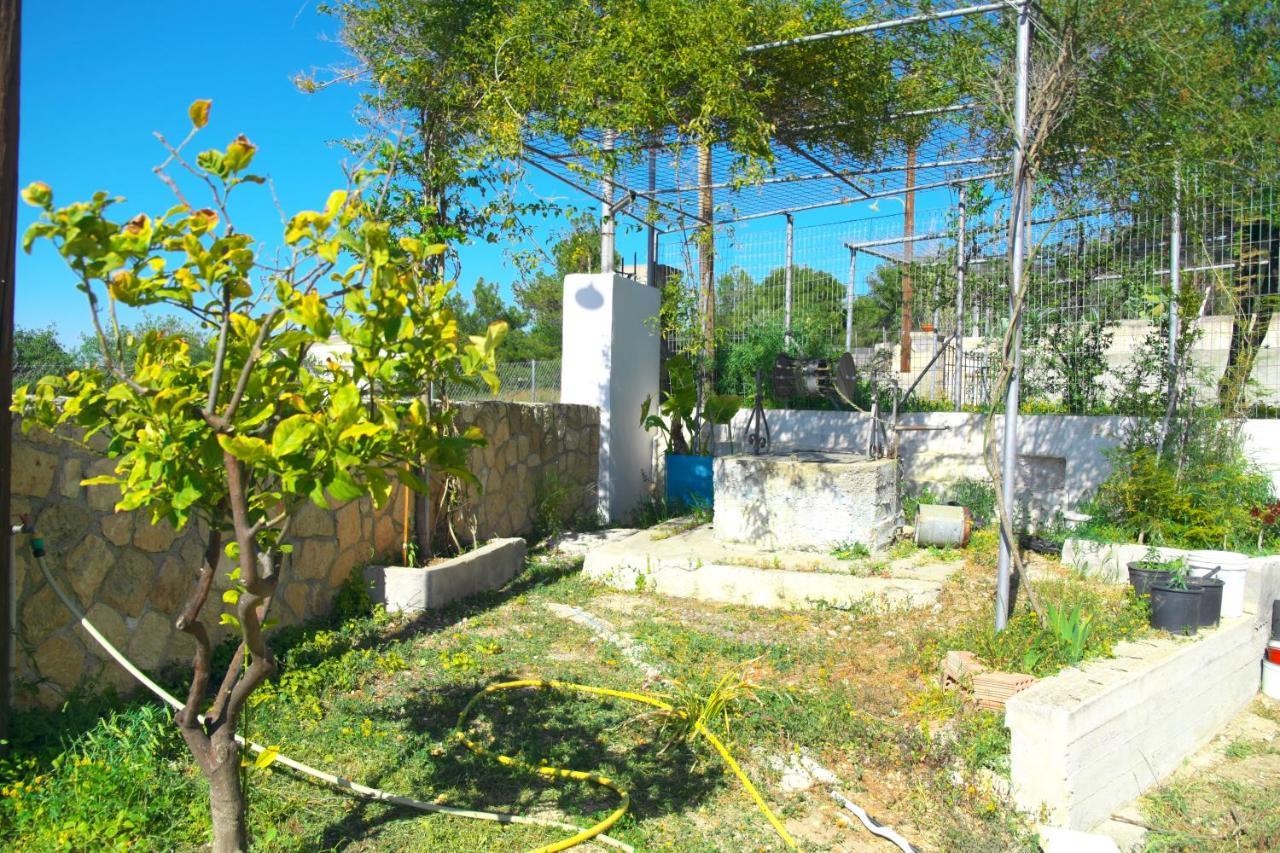 Вілла Georgia'S House Aegina Екстер'єр фото